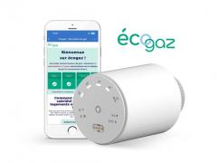 Termostato inteligente WiFi para radiadores