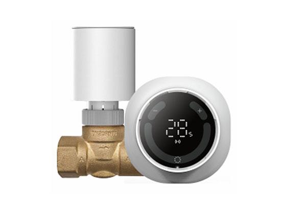 Termostato inteligente para radiador SASWELL X